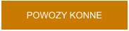 POWOZY KONNE